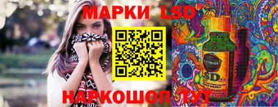 шишки Кимры