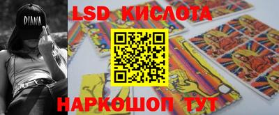 шишки Кимры