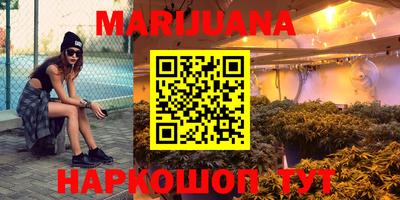 шишки Кимры