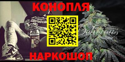 шишки Кимры