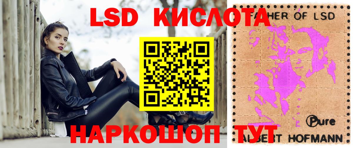 Наркотические марки 1500мкг  Наркотические марки 1500мкг  Лесной  Вход с VPN 