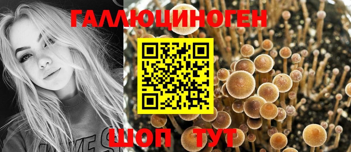 Марихуана Лесной
