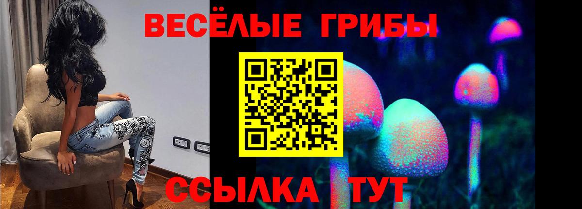Галлюциногенные грибы Psilocybine cubensis Лесной